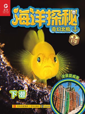 cover image of 奇幻北极